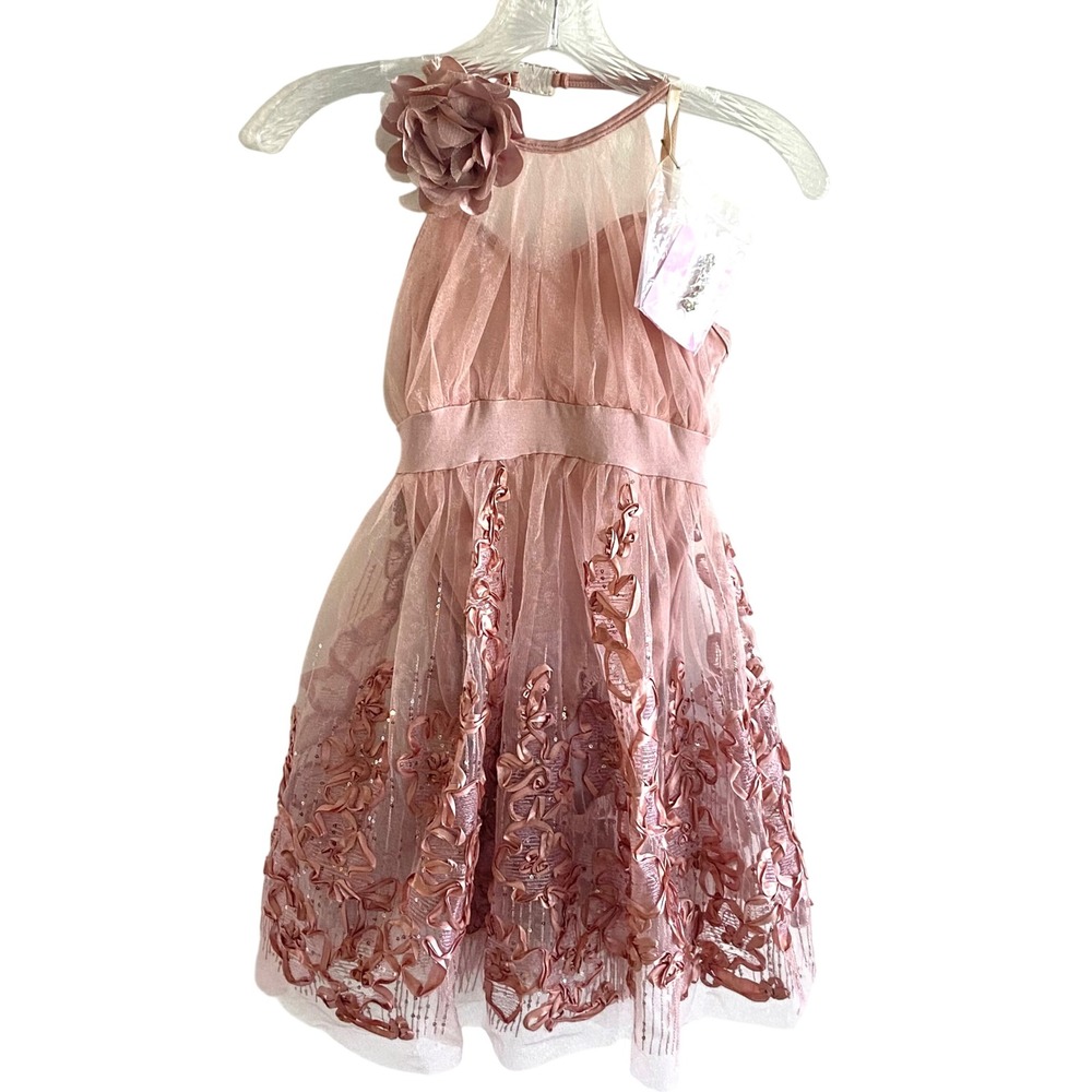 Curtain Call Costumes Kids Lyrical Ballet Dance Dress Rose Floral Sequin R107